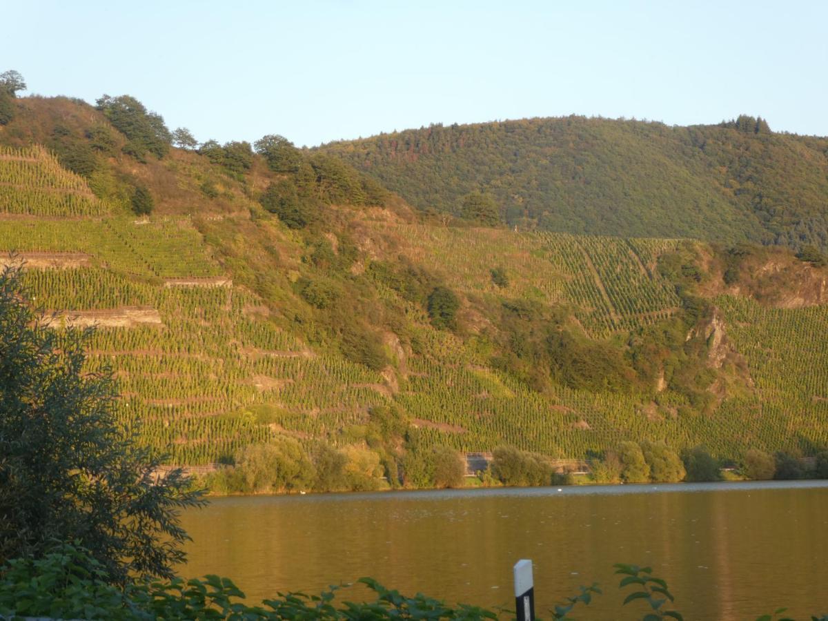 Hausboot Moselrose In Poelich Hotel Polich ภายนอก รูปภาพ